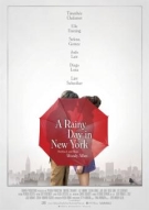 Plakat A Rainy Day in New York
